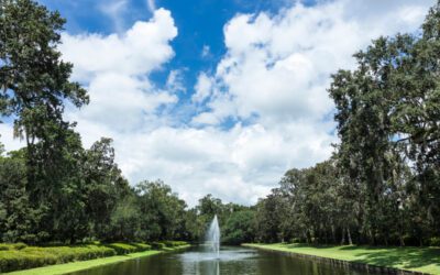 Moving to West Ashley, South Carolina: Helpful Local Resources for Lowcountry Homeowners